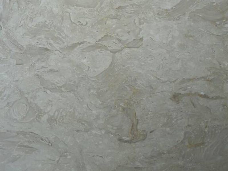 Gray shell Stone