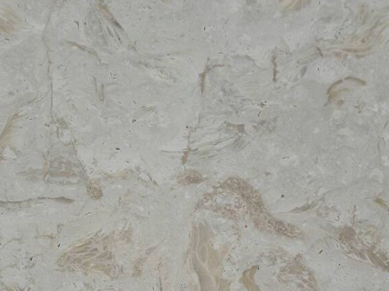 white shell Stone